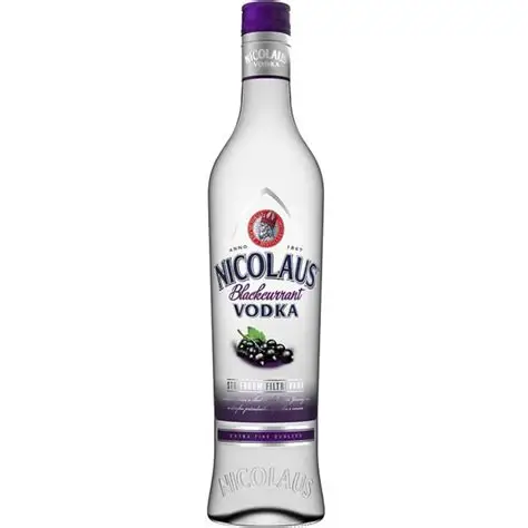 VODKA BLACKCURRANT 70CL